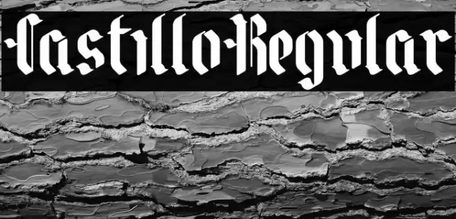 CastilloRegular Font examples