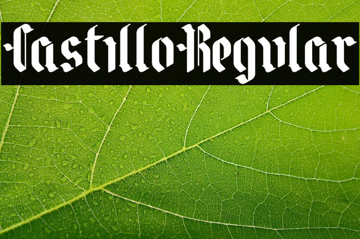 CastilloRegular Example 3