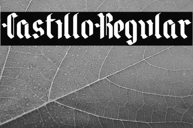 CastilloRegular Font examples