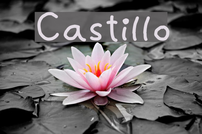 Castillo Font examples