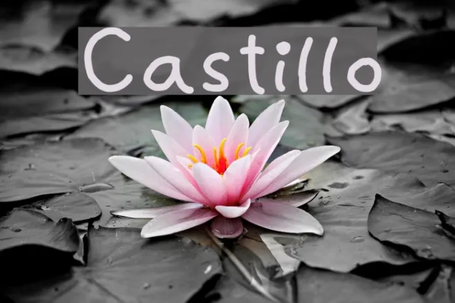 Castillo Example 3