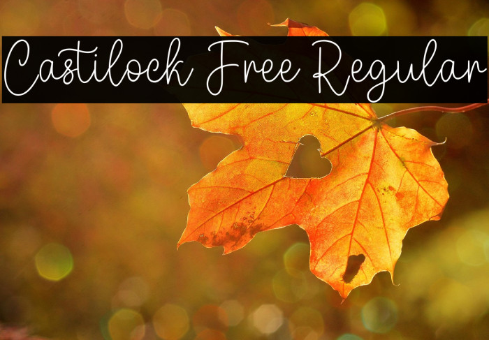 Castilock Free Regular Example 1