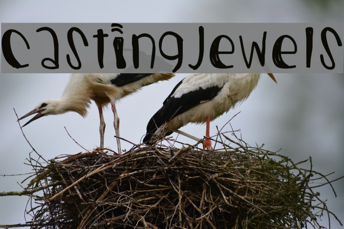 CastingJewels Font examples