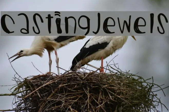 CastingJewels Example 2