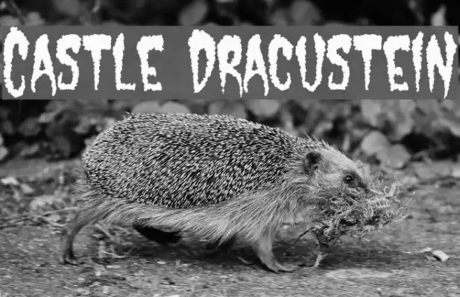 Castle Dracustein フォント examples