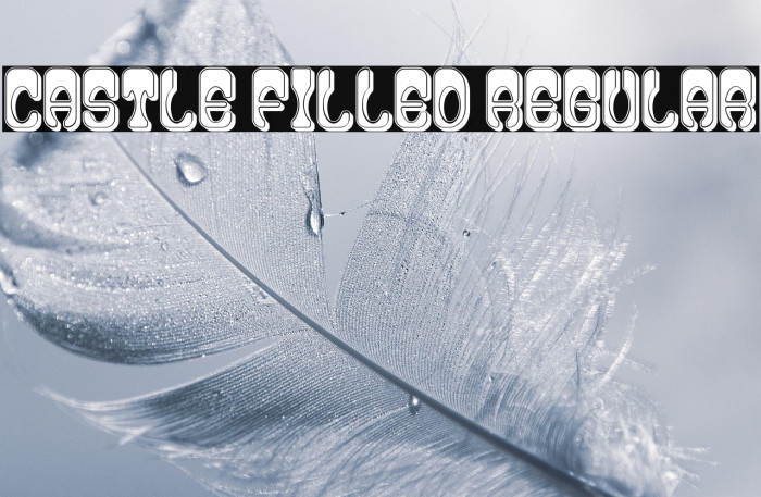 Castle Filled Regular Example 2