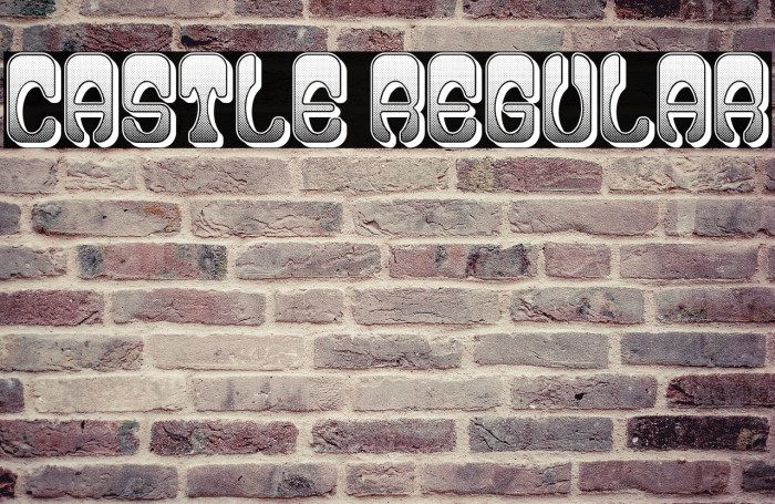 Castle Regular Example 1