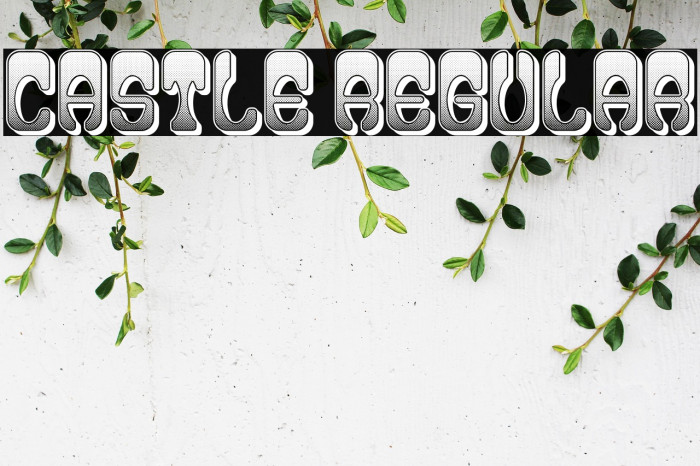 Castle Regular Example 2