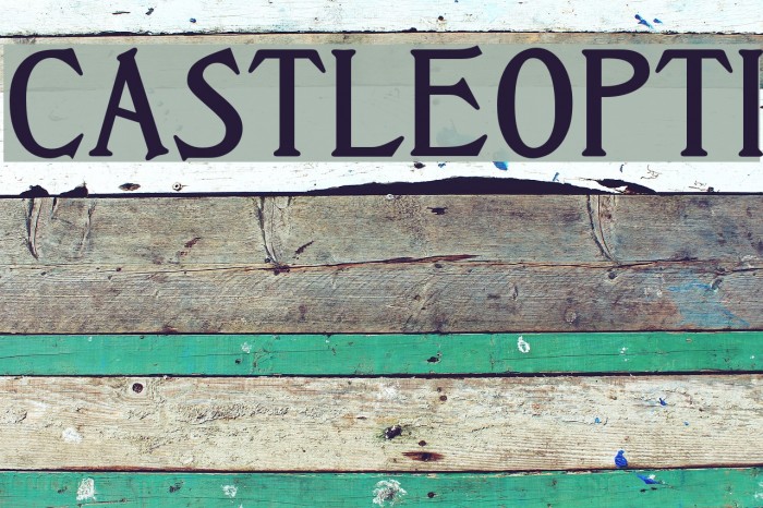 CastleOpti Font examples