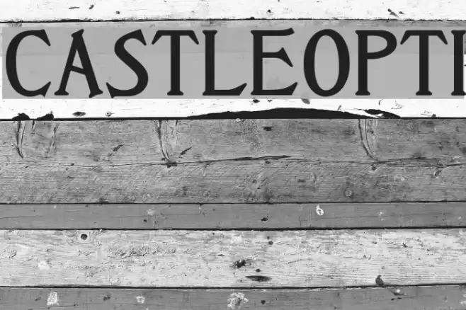 CastleOpti Font examples
