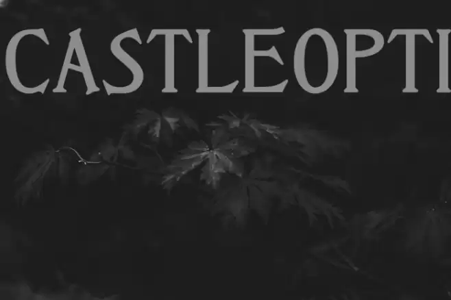 CastleOpti Font examples