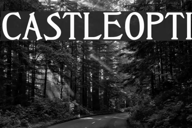 CastleOpti Font examples