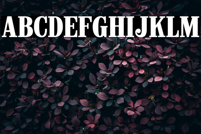 CastlePressNo1 Example 1