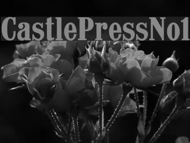 CastlePressNo1 Font examples