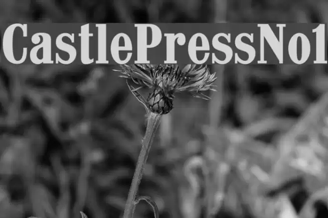 CastlePressNo1 Font examples