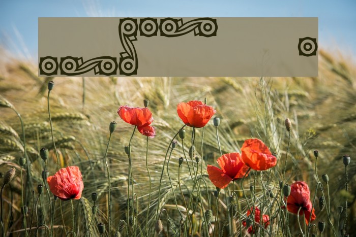 CastlePressNo2 border फ़ॉन्ट examples
