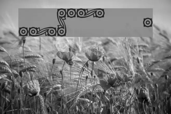 CastlePressNo2 border फ़ॉन्ट examples