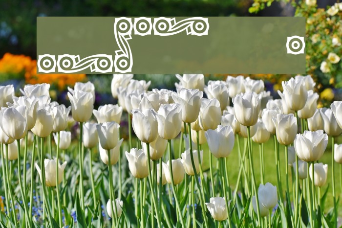 CastlePressNo2 border फ़ॉन्ट examples