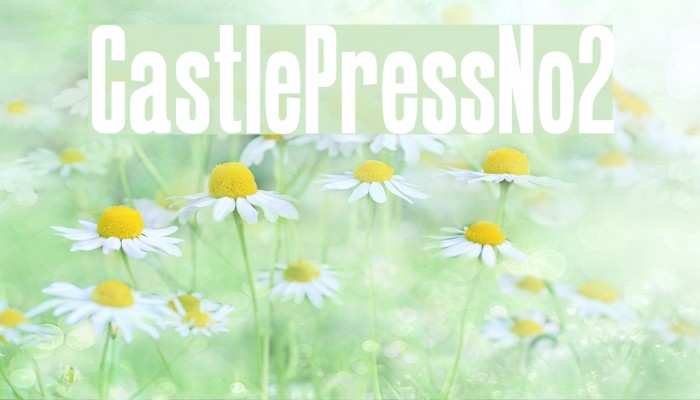 CastlePressNo2 Font examples