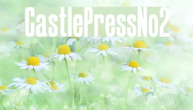 CastlePressNo2 Example 1