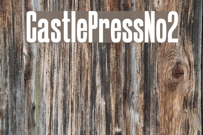 CastlePressNo2 Font examples