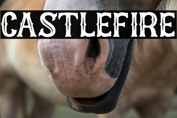 Castlefire Example 3