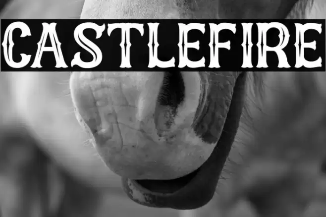 Castlefire Font examples