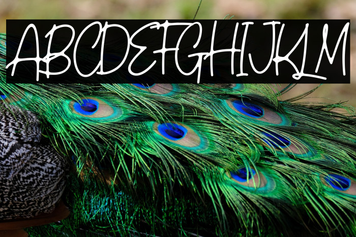 Castlerock Example 1