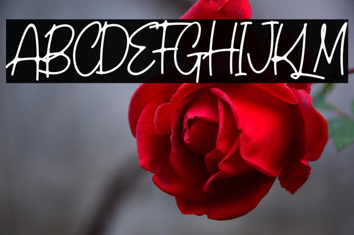 Castlerock Example 3