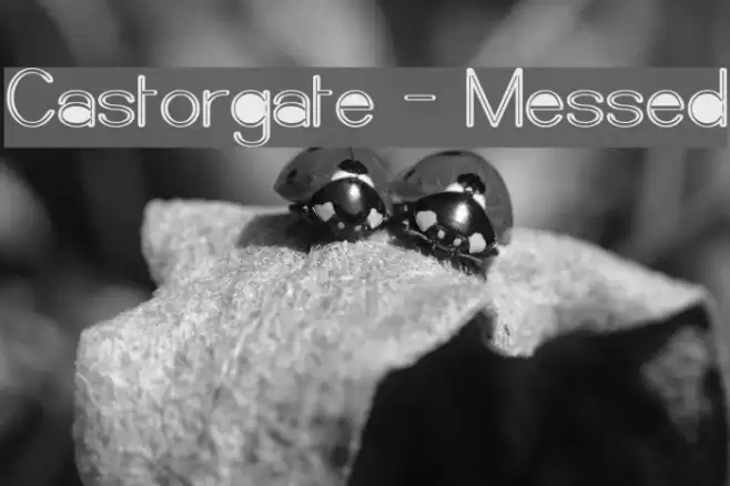 Castorgate - Messed フォント examples