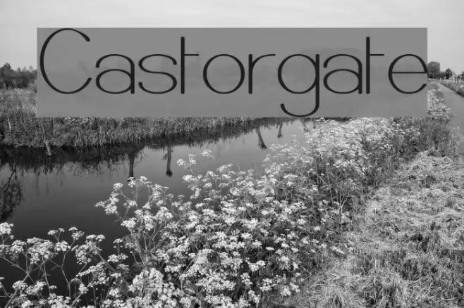 Castorgate Font examples