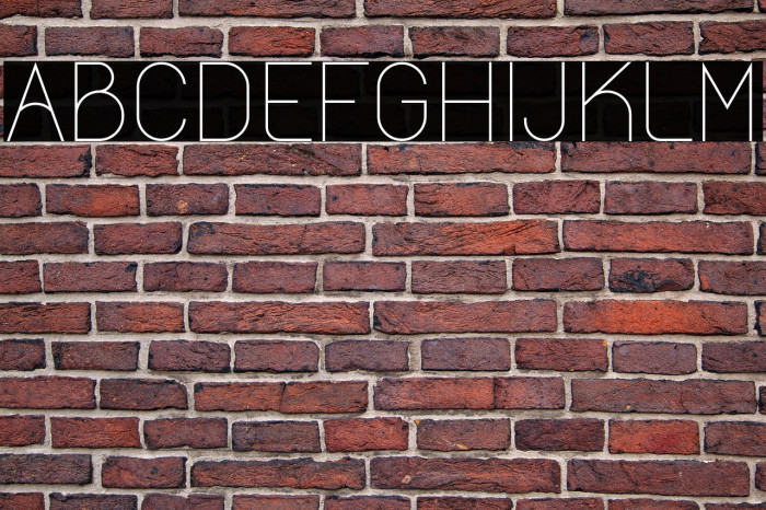 Castrade Personal Use Example 2