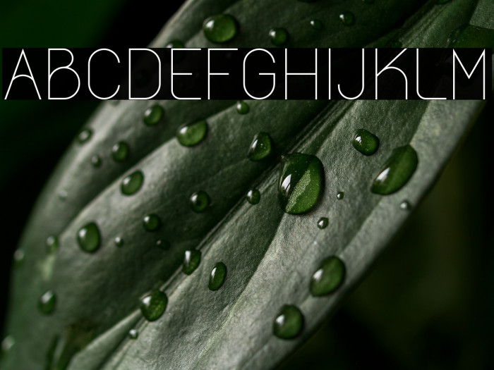 Castrade Personal Use Example 3