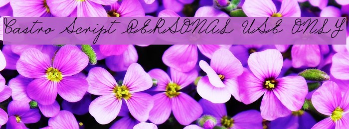 Castro Script PERSONAL USE ONLY Font examples