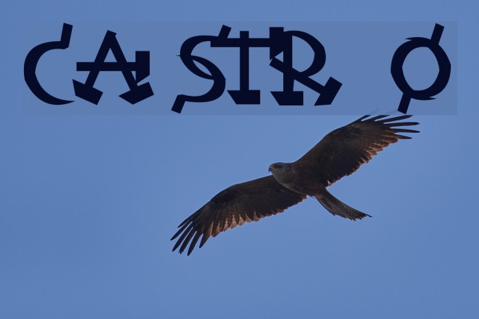 Castro Font examples