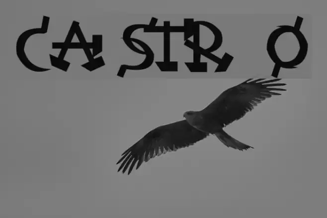 Castro Шрифта examples