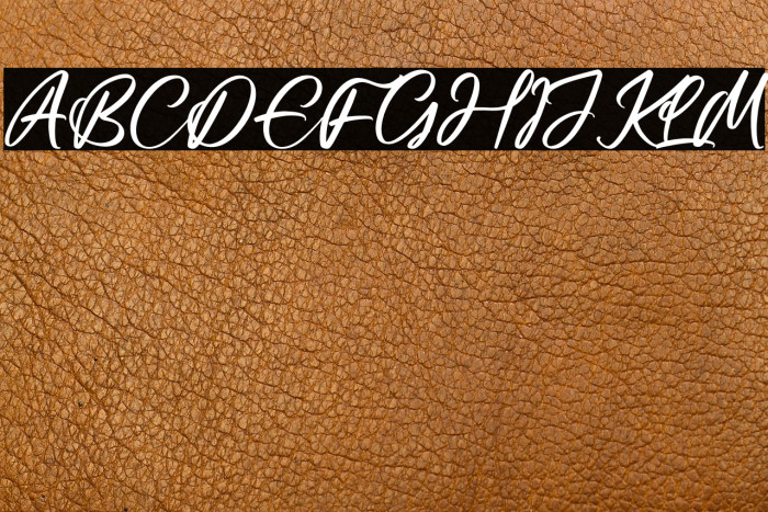 Casttelo Signature Example 2