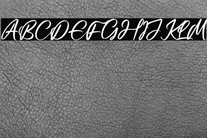 Casttelo Signature Font examples