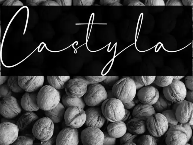 Castyla Font examples