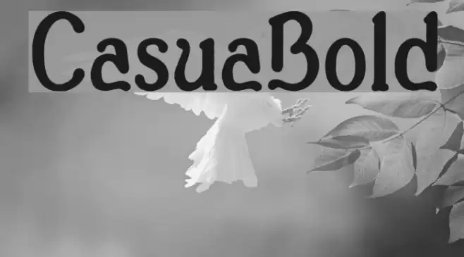 Casua_Bold Font examples