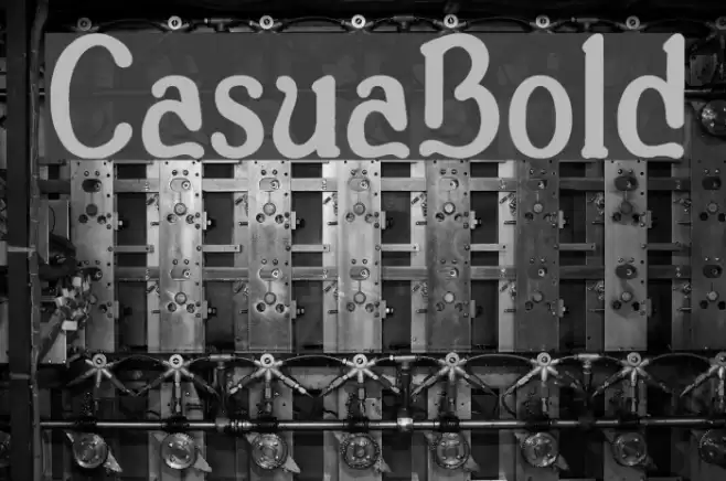 Casua_Bold Font examples