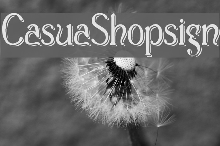Casua_Shopsign Font examples