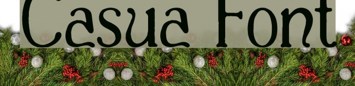 Casua Font examples