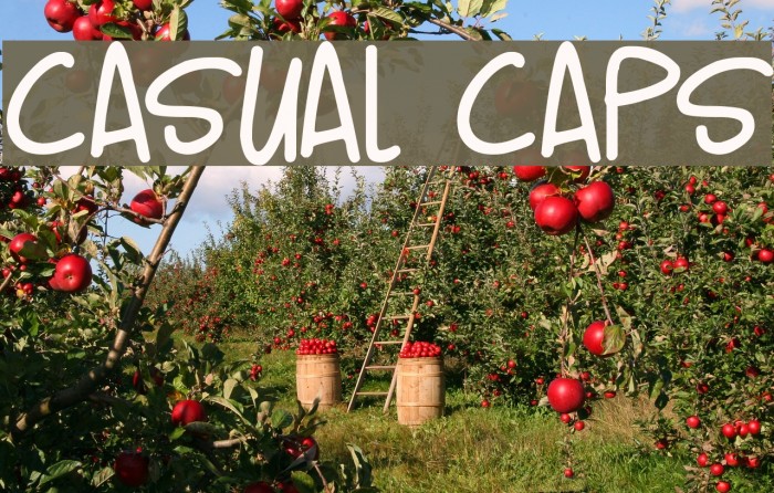 Casual Caps Example 2