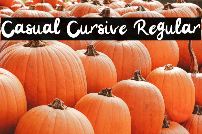 Casual Cursive Regular Example 2