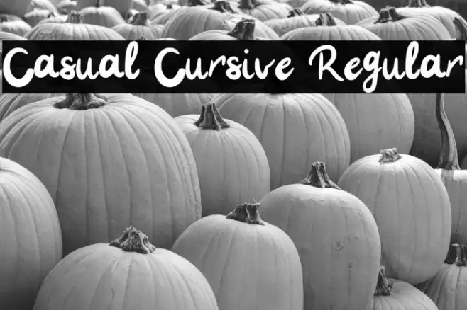 Casual Cursive Regular Font examples