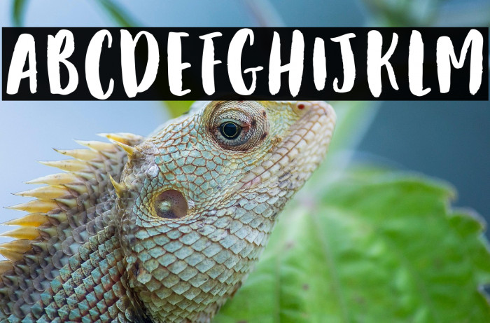 Casual Delight Example 1