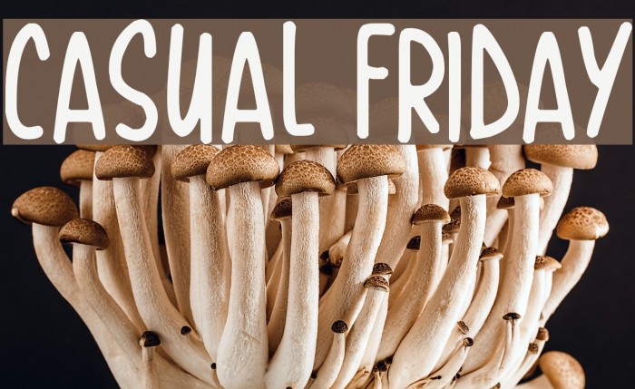 Casual Friday Example 1