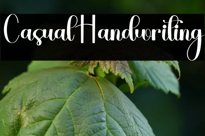 Casual Handwriting Example 3