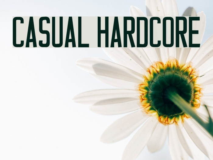 Casual Hardcore Font examples